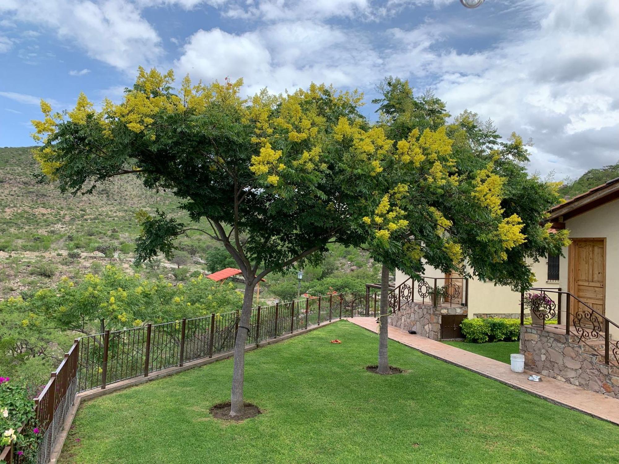 Villa Campestre La Soledad Colon Eksteriør bilde