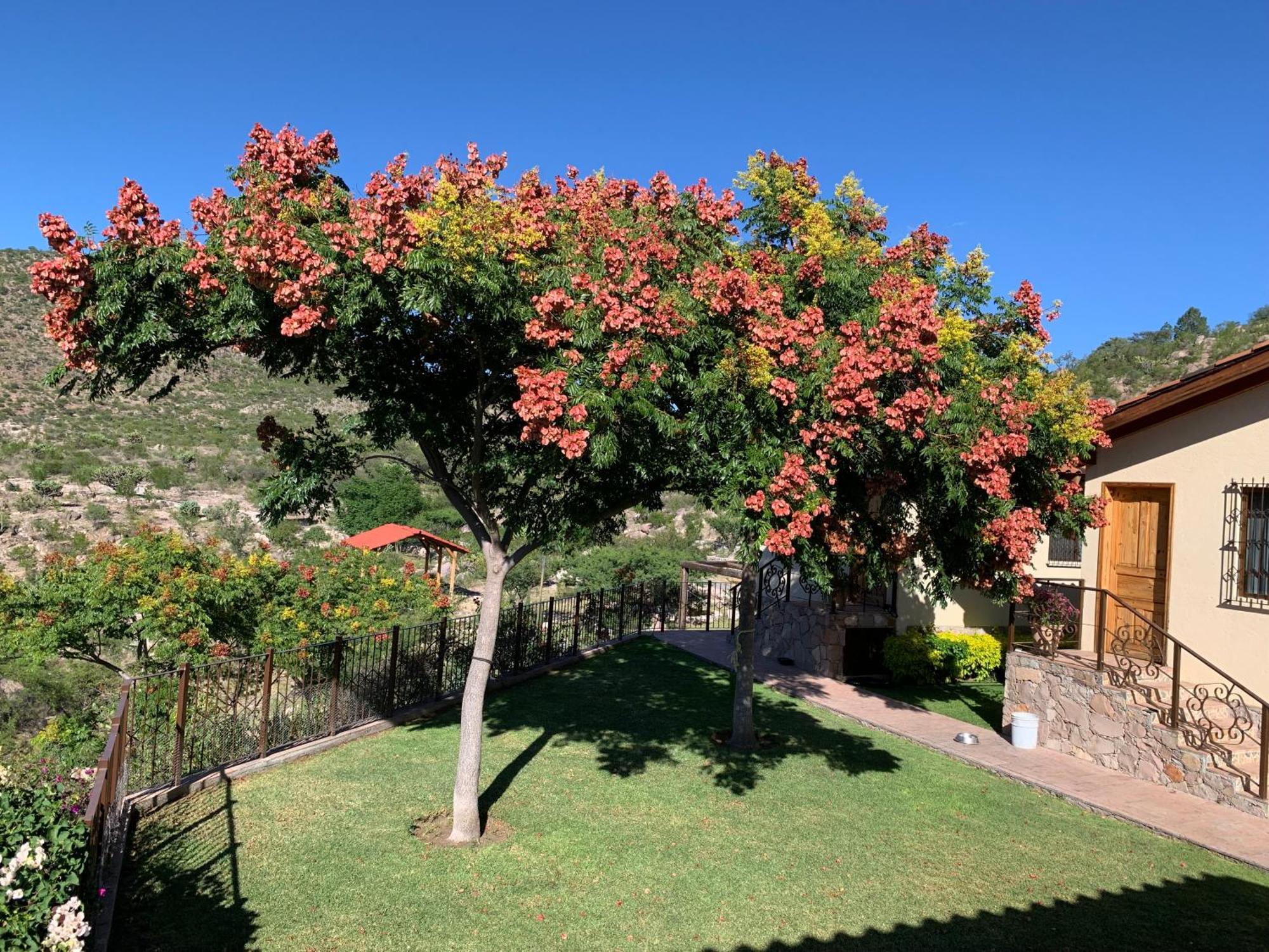 Villa Campestre La Soledad Colon Eksteriør bilde