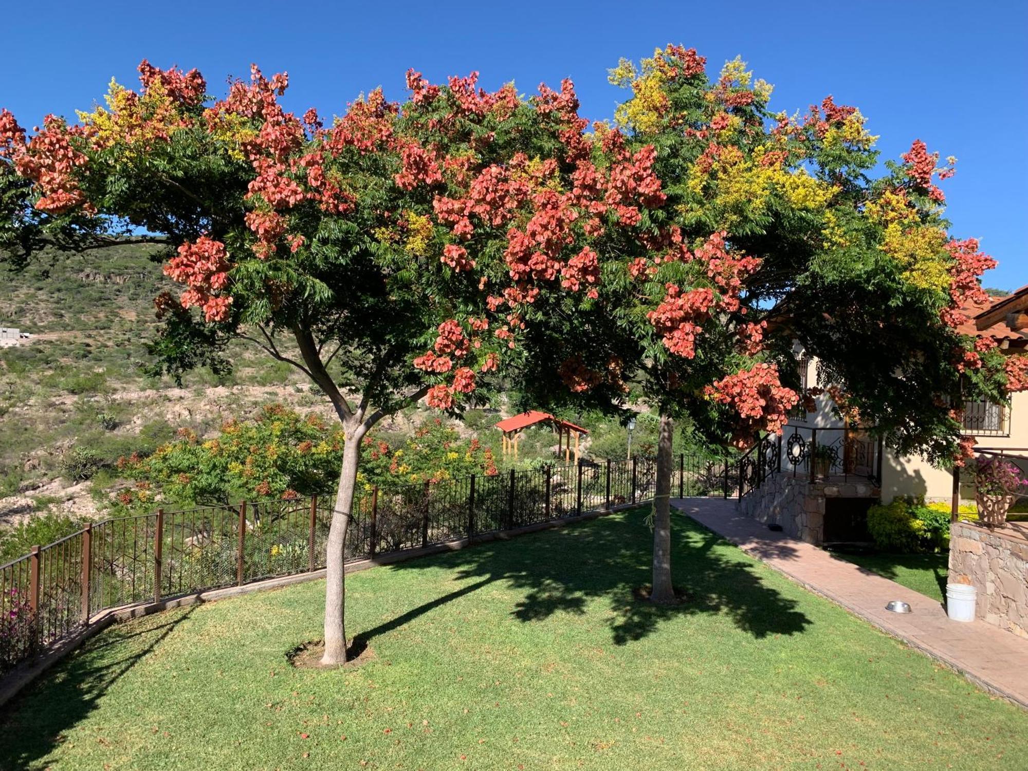 Villa Campestre La Soledad Colon Eksteriør bilde
