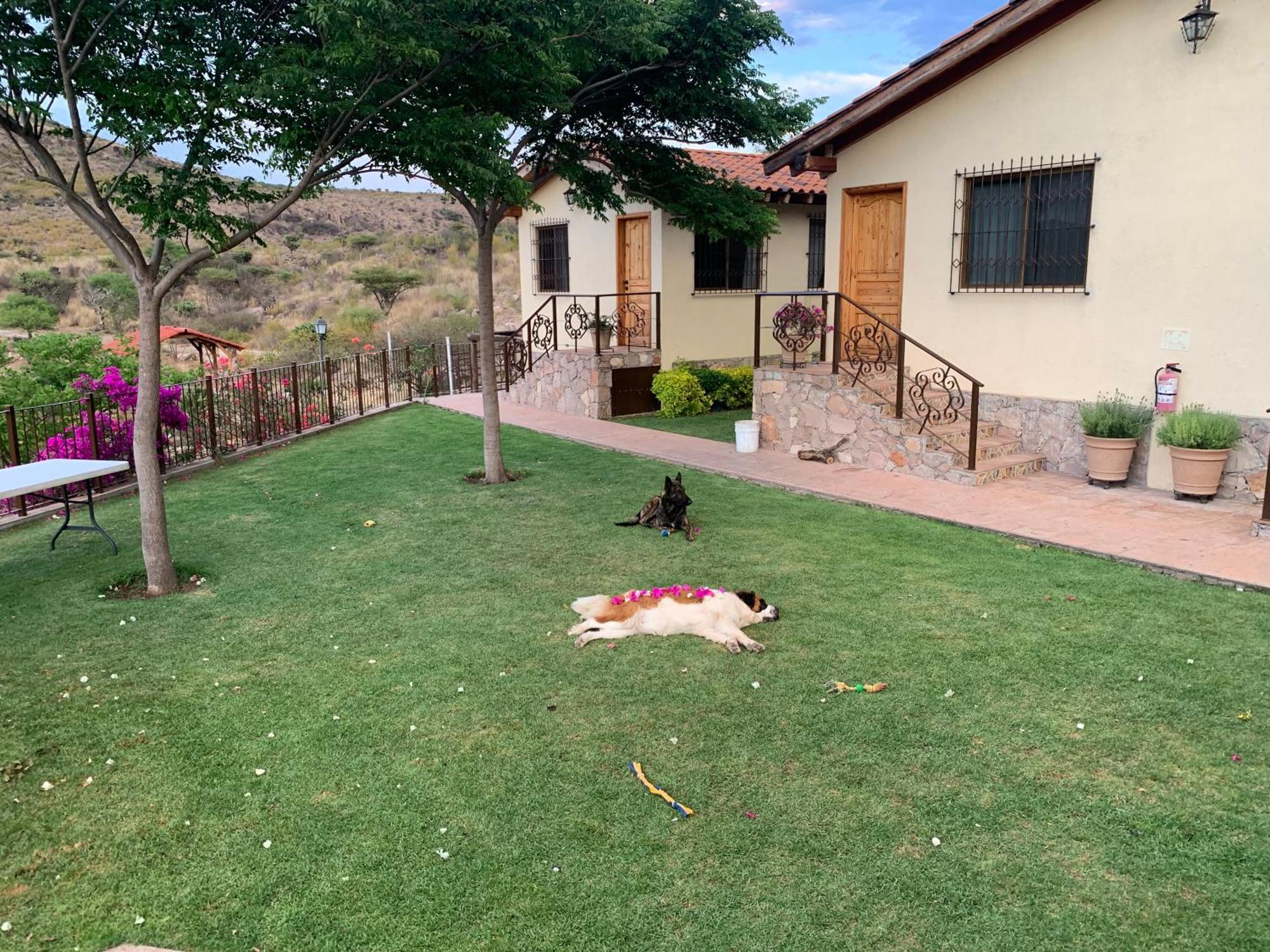 Villa Campestre La Soledad Colon Eksteriør bilde